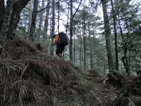 北一段(05/14)南湖南峰 2025_0906~132886492