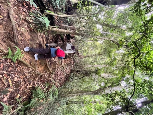 雲林小百岳-石壁山2850060