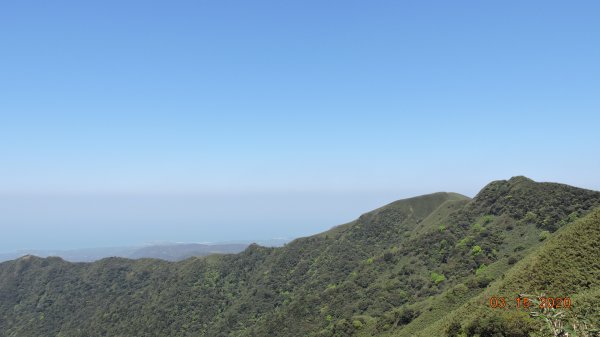 晴朗涼爽舒適/車道像停車場/步道人龍879703