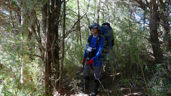 大好天氣的奇萊東稜489037