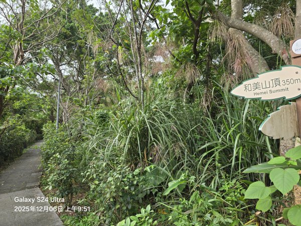 2025-12-06微笑山線：【二格山系】和美山螢火蟲段2956821