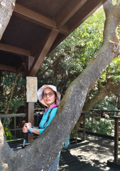 大崙頭尾山2992011