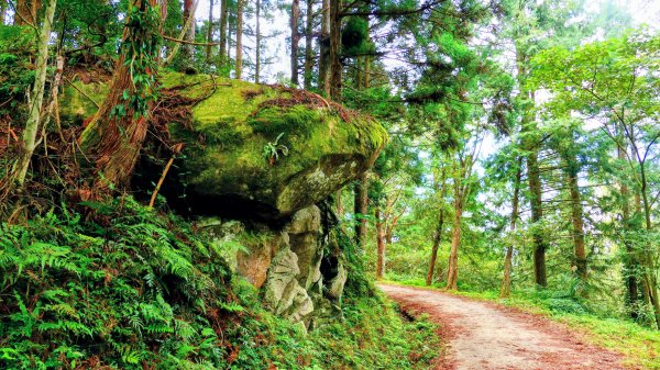 油羅山(一上三下)2959201