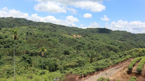 澀水森林步道登山健行趣(步道)2259796