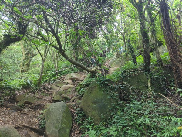 2025.05.17－大屯山步道下清天宮2790043
