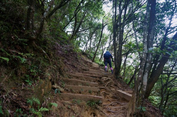 五寮尖登山步道1383217