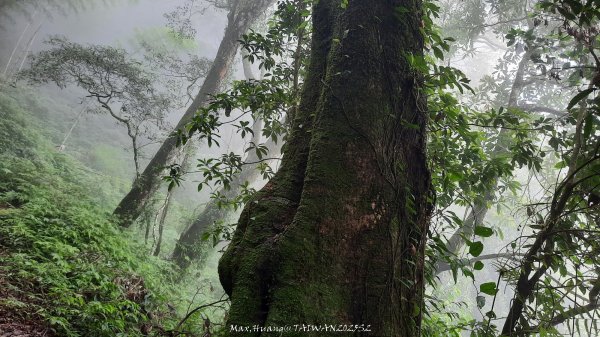 《雲林》望好望角｜石壁山嘉南雲峰步道(中側登山口）202506072805357