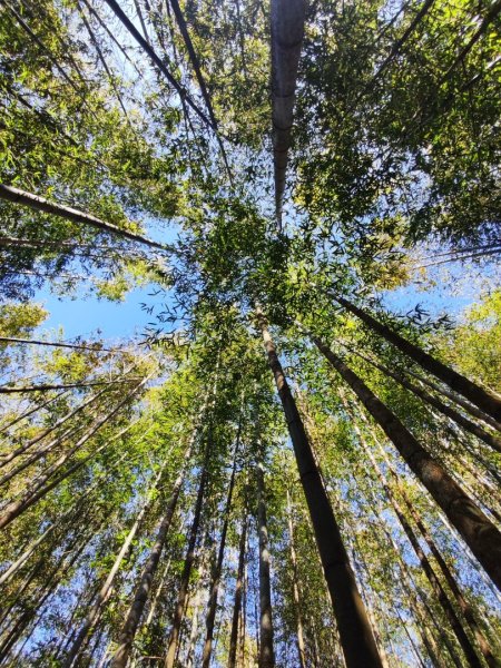 大雪山長壽三崠2691111