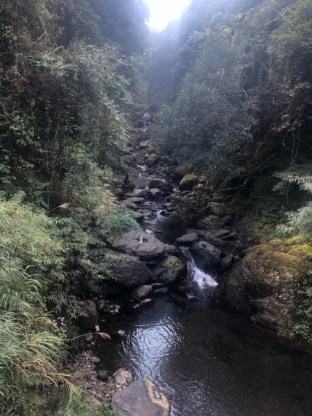 霞喀羅古道 布奴加里山 501952