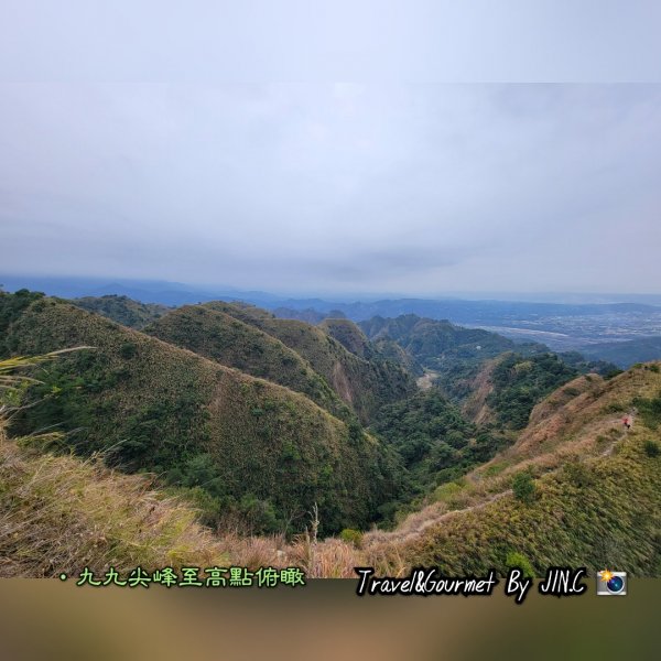 中部抹茶山九九峰＜夏為抹茶冬為咖啡＞2042825