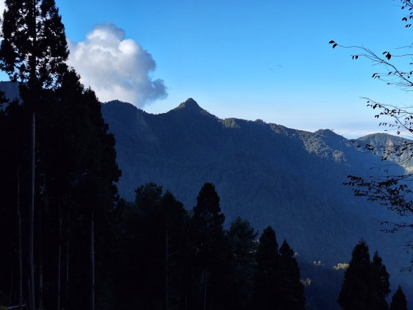 大雪山森林遊樂區之烏石坑山+山椒山(210林道)202401102400541