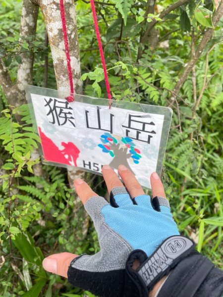 微笑山⛰️線-大棟-二格山-五分山-天上山-鳶山💎12條步道完成💙2853959