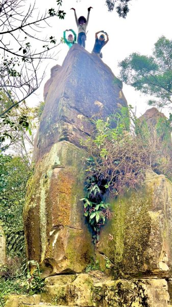 圓通寺烘爐地登山步道大O走3007143