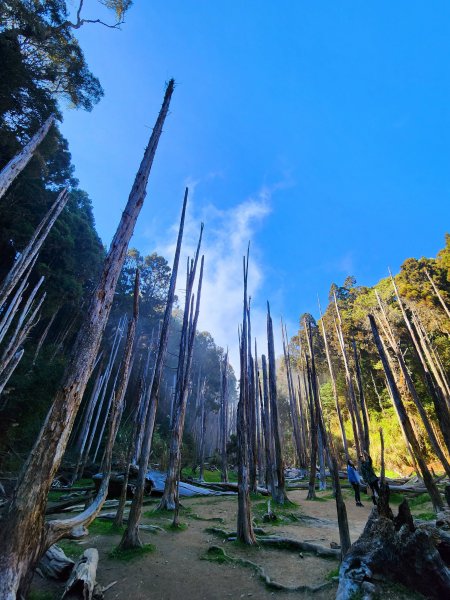 小百岳集起來-金柑樹山2183171