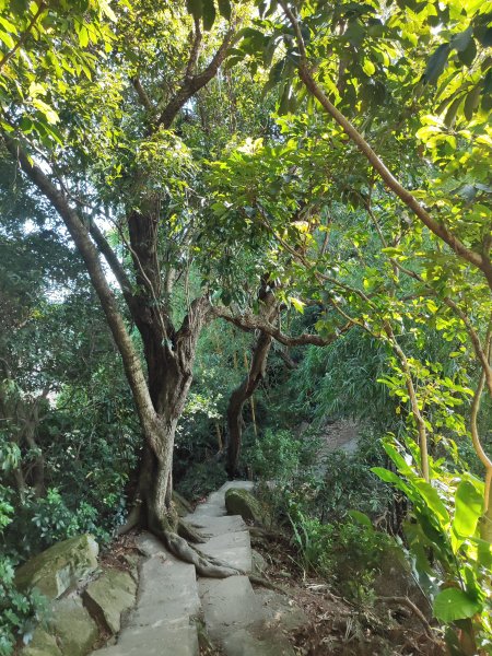 微笑山線：【大棟山系】405高地段2874148