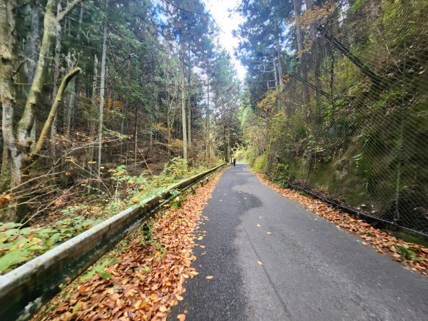 20251127陣馬山至高尾山2959065