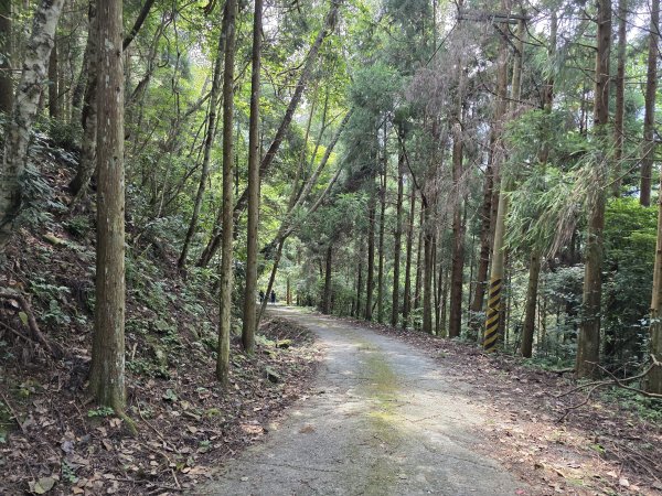 [皮皮獅探險隊-10/10] 2025_0816 白蘭溪古道2862932