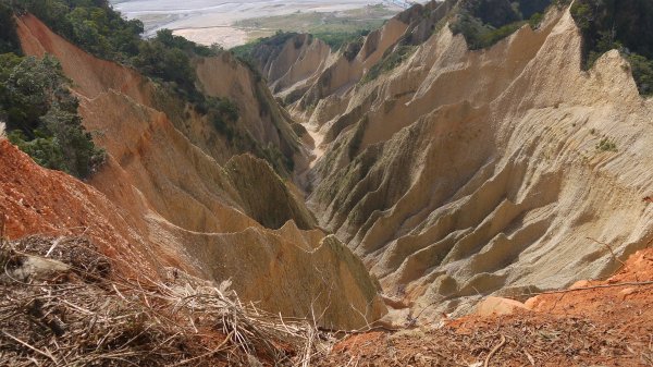 四訪火炎山登山健行趣(小百岳35號)1584971