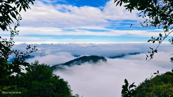 #馬那邦山 #琉璃光 #日出 #雲海 #山羌 #楓葉 10/25 & 11/12924615