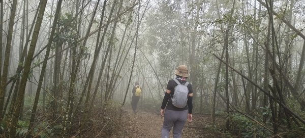 2024/12/14_關刀山步道O型2669303