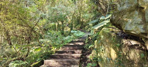 2026/02/21-馬胎古道（含二期）3005113