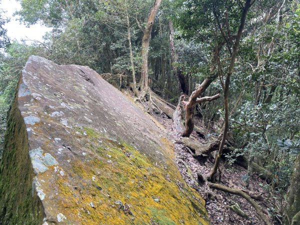 坐公車接駁的神仙縱走2707409