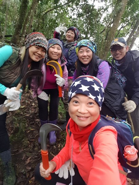 整理往平溪峰頭尖的山路1818359