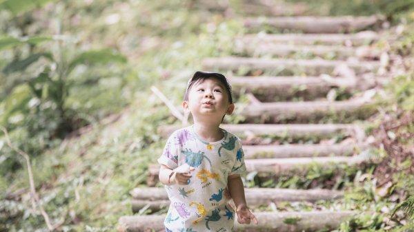 小樂的親子登山旅程-坪林金瓜寮魚蕨步道封面