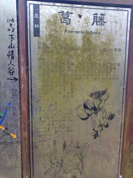 鳳鳴古道 鳳鳴山 南隘勇（南長城）古道 三湖山 八達嶺（龍骨）古道 綠色古道 延平古道2975317