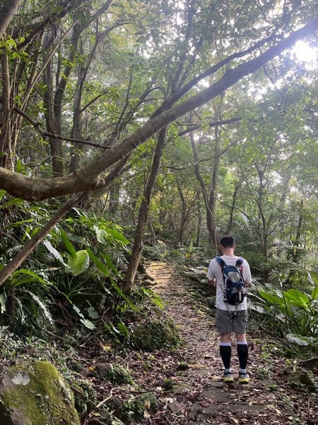 土城頂埔捷運站-大暖尖山-火焰山-承天路-石壁寮溪棧道-永寧捷運站2896451