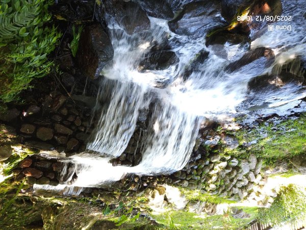 福山大羅蘭溪>古圳步道>黃金水岸2858979