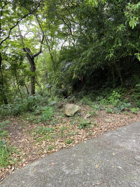 蓮包山、外鳥嘴山、那結山、貴妃山、水田林道O 型縱走1673087