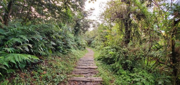 2021-10/10-基隆七堵-姜子寮山1485752