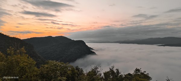 #翡翠水庫壩頂 #月亮 #日出 #雲海 #藍腹鷴母鳥 5/8&133050268