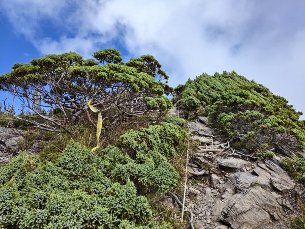 北一段(12/14)南湖北山 2025_0906~132887452