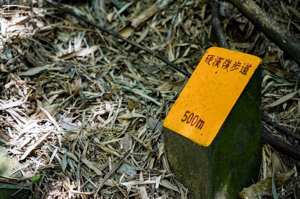 觀音山 硬漢嶺2870041