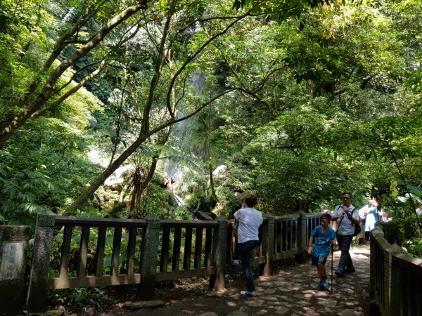 魚路南段(絹絲步道-擎天崗)1088994