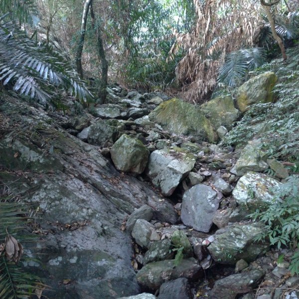 百岳練習場➡️⛰️尾寮山糜爛行824196