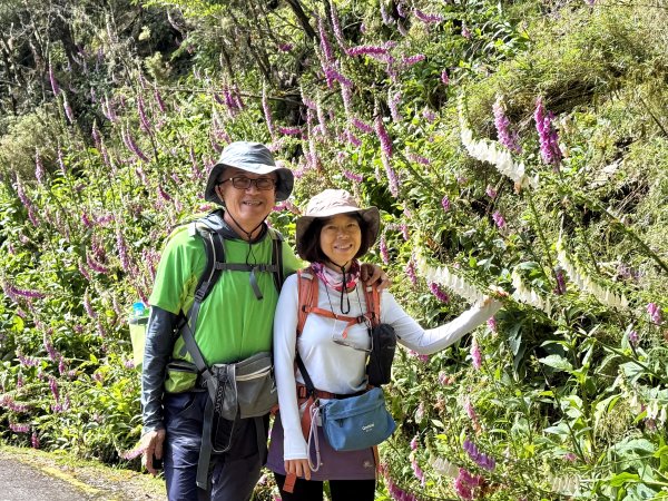 塔塔加楠梓仙溪林道 202506222827104