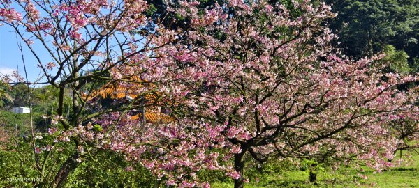 天元宮了嗎？2/32992579