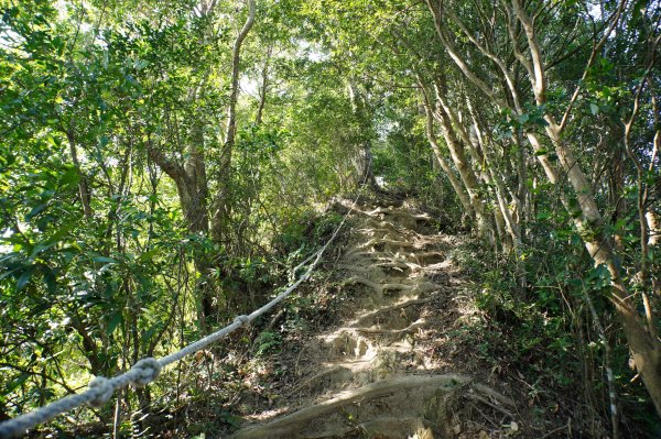 新竹 關西 蓬萊仙島山、石牛山、油井窩山、福大山2982397