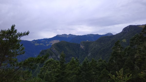 武陵四秀成兩袖(一秀加一宿)1142478