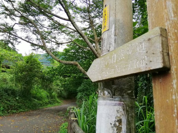 優美林相森林浴橫嶺山自然步道(木馬古道)739079