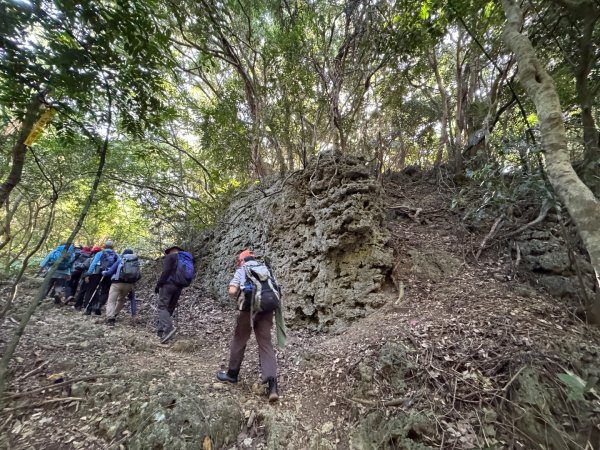 恆春大縱走:鎮南宮-赤牛嶺-大山母山(小百岳#81)-南灣出2963745