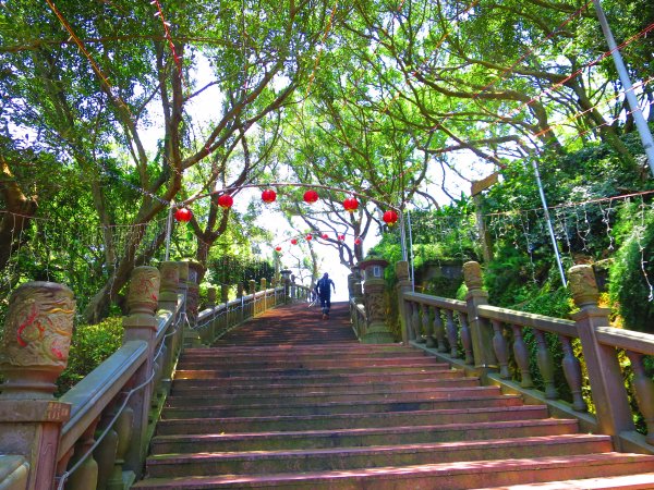 搭著捷運去旅行-白石湖賞花輕旅行610479