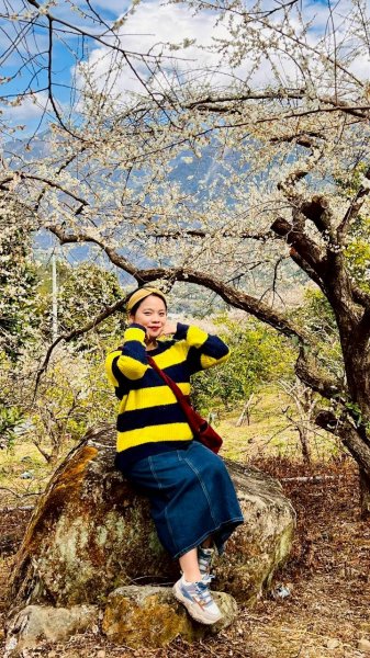 🌈1/17（六）蔡家古厝賞梅×梅子夢工廠×車埕老街✨FB：熊熊趴爬走🌈2983943