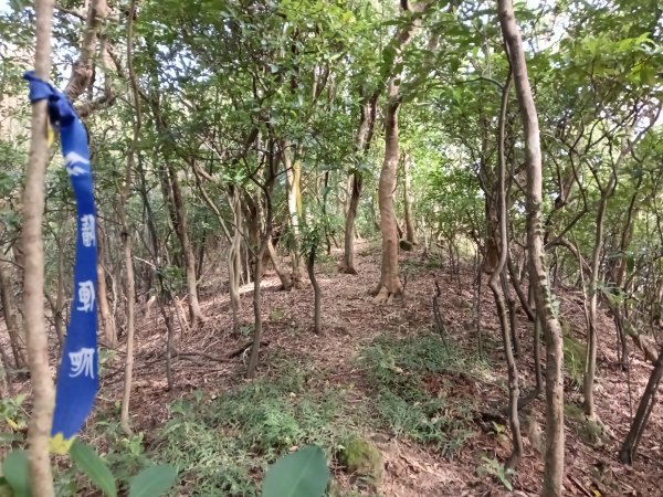 貢寮區新厝山+澳底尖(火炎山)+美艷山+金沙灣2989682