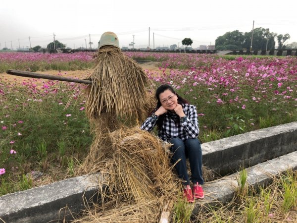 麻吉倆賞花海467791