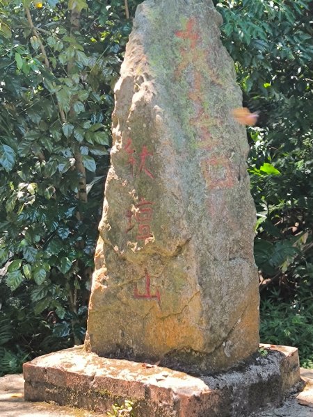 20250822微笑山線205高地段2868574