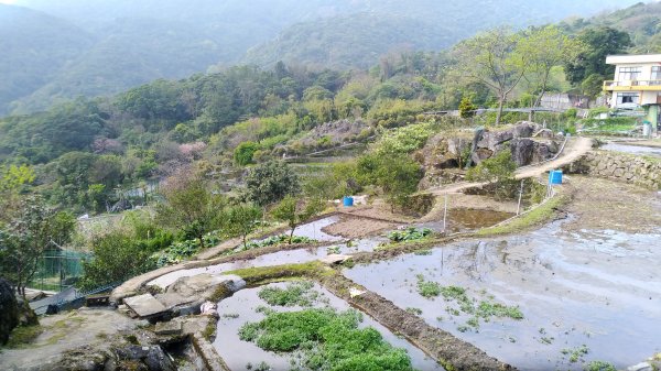 陽明山花鐘大屯瀑布青春嶺猴崁圳537472